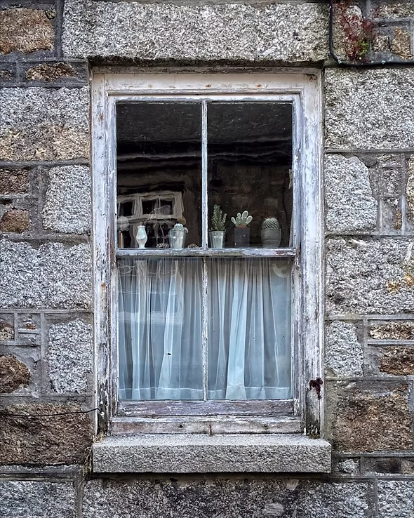 Commended: Hidden Mousehole - Deborah Taylor